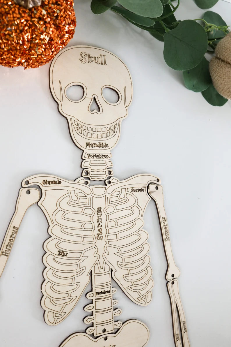Build Your Own Skeleton Learning Activity