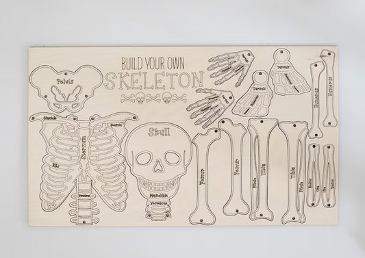 Build Your Own Skeleton Learning Activity