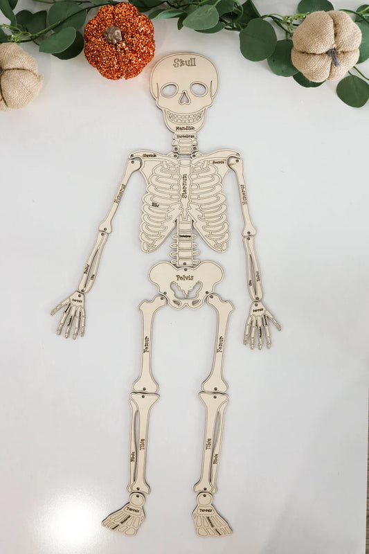 Build Your Own Skeleton Learning Activity